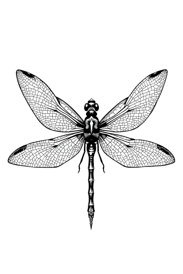 Black and white illustration of a dragonfly facing right, with wide-spread wings displaying intricate patterns. The dragonfly has a predominantly black body featuring white details, dark head, and thin, elongated legs situated near the center. The design is minimalistic