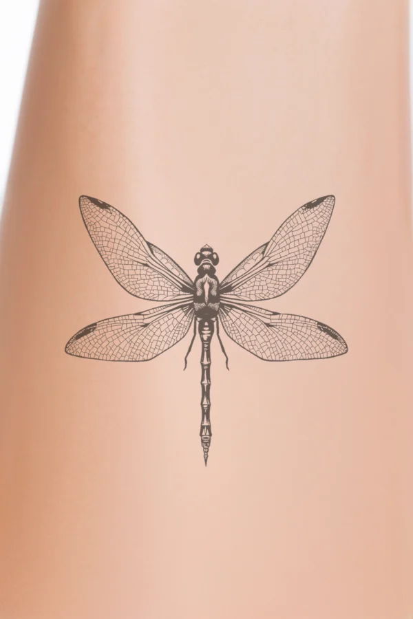 A detailed black and white illustration of a dragonfly positioned centrally, facing right. Its wings are spread wide, revealing intricate patterns, while its body is predominantly black with white detailing. The dragonfly has a dark head and elongated, thin legs near the
