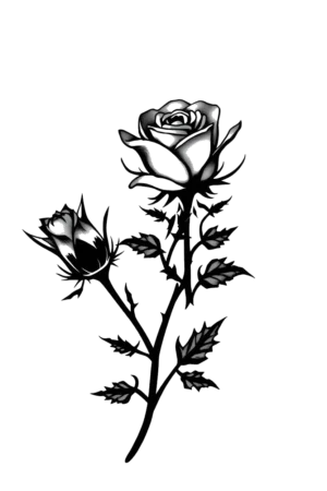 Black and white illustration of two realistic roses on a white background. The larger rose is on the left, and the smaller rose is on the right, both featuring detailed petals and stems that create a striking contrast against the backdrop.